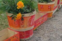 IMG_20250525_182304-Copy