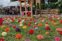 IMG_20250525_182351-Copy